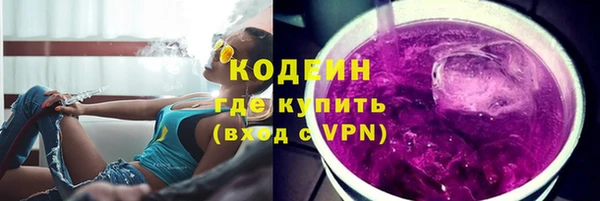 скорость Вяземский