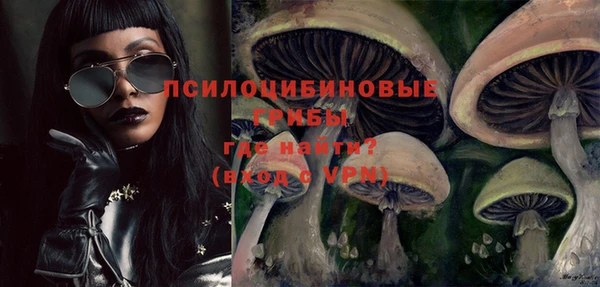 бошки Фёдоровский